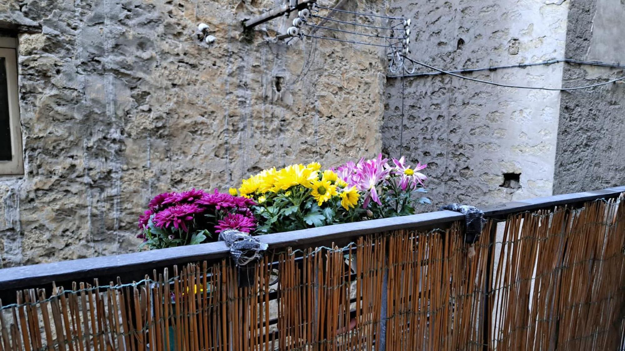 Appartement Casa Pesadina *
